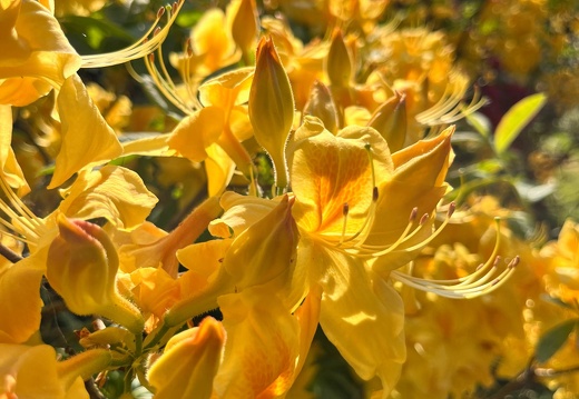 23-06-03 16-39-02 5789